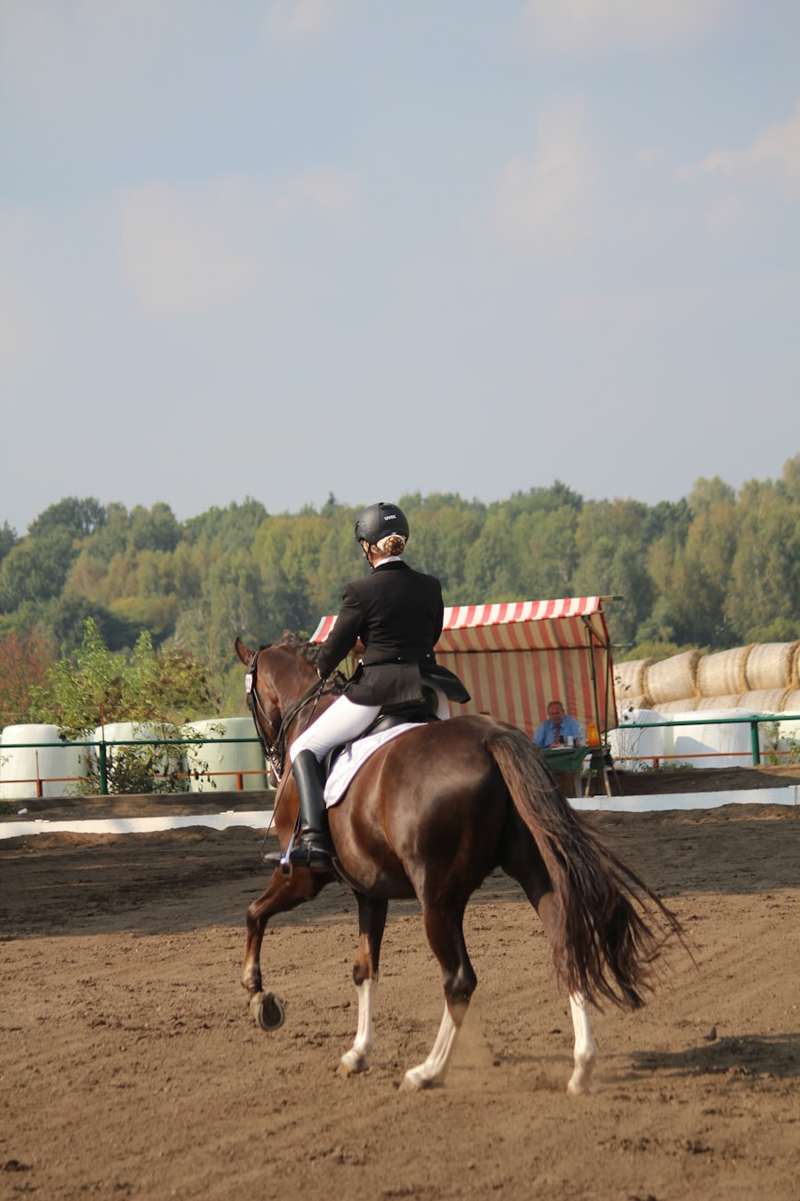 Rider on horse