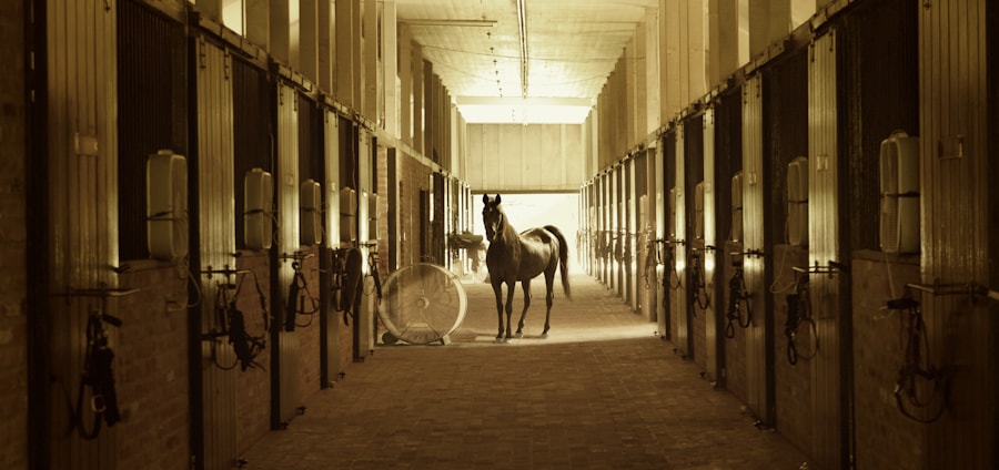 Horse in stable