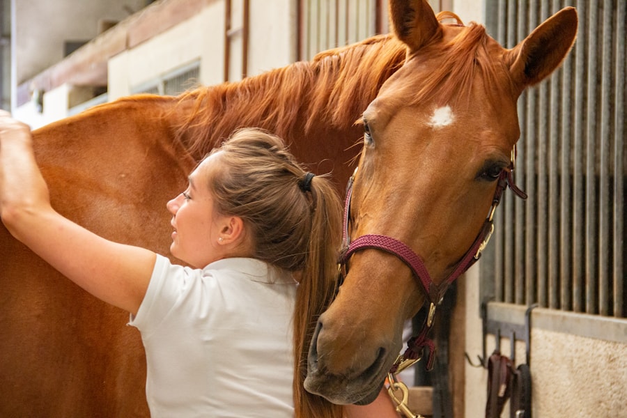 Horse care