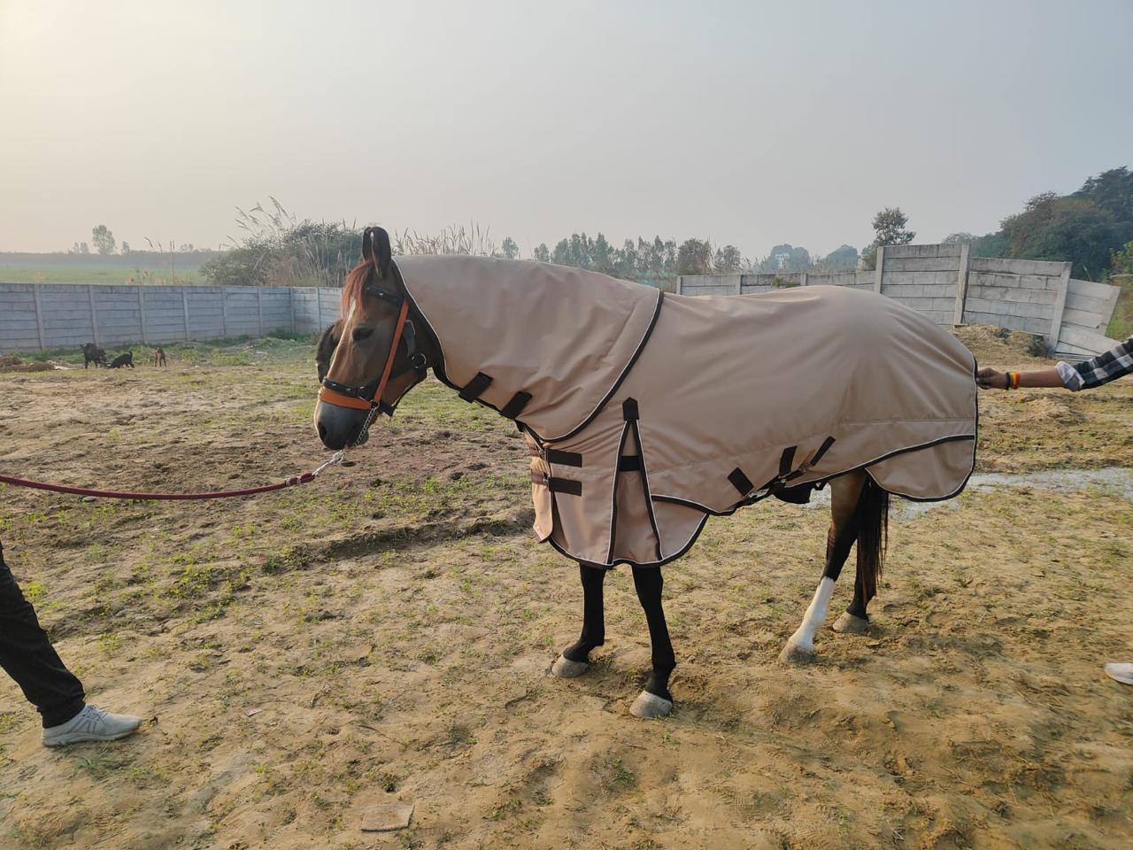 Flamingo print fly sheet